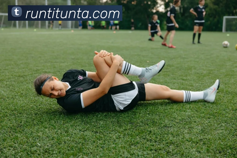 用户互动社区